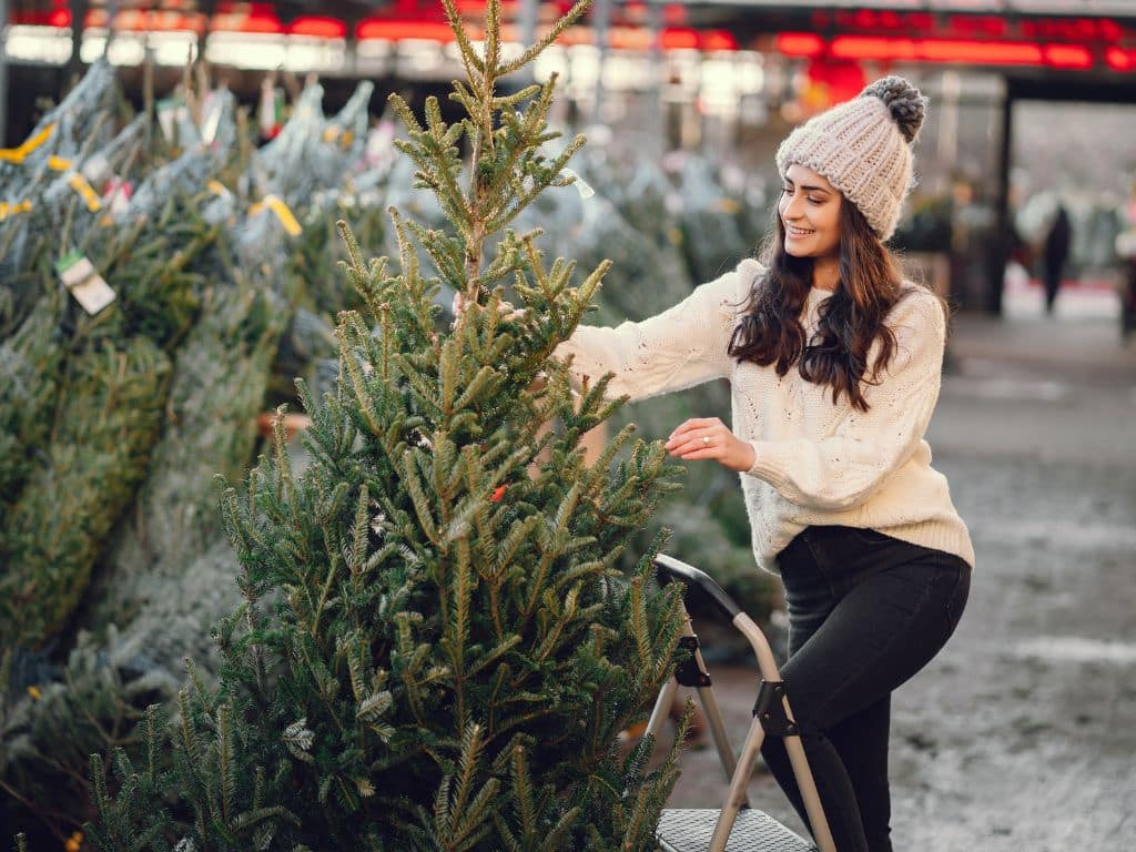 A young woman in a white sweater holding a tree at a Christmas tree farm.