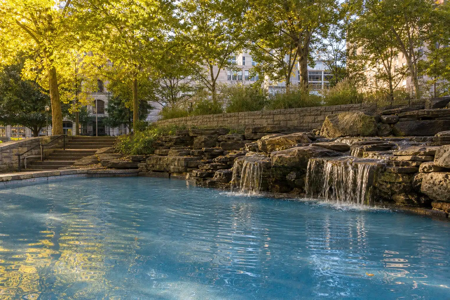 Market Square Park's green space and food trucks